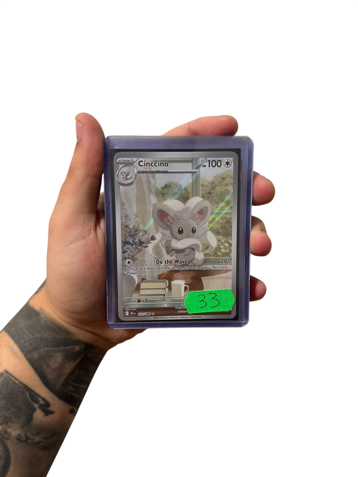 Cinccino (BLK 153) - Ingles